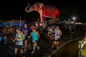 BIB: 
                            <button type="button" onclick="openModal(26552316)" class="btn btn-primary btn-sm float-right btn-popup" data-toggle="modal" data-target=".modal-high-quality">
                        <i class="fas fa-shopping-cart"></i> Add to Cart
                    </button>
                                            <button type="button" onclick="isThisMe(26552316, true)" class="btn btn-success btn-sm float-right btn-popup btn-isme hidden" data-toggle="tooltip" data-placement="bottom" title="นี่คือรูปของคุณใช่ไหม คลิกที่นี่เพื่อเอาเข้าอัลบั้ม">
                        <i class="fas fa-plus"></i> Add to album
                    </button>
                    <button type="button" onclick="isThisMe(26552316, false)" class="btn btn-warning btn-sm float-right btn-popup btn-isnotme hidden">
                        <i class="fas fa-ban"></i> Remove from album
                    </button>